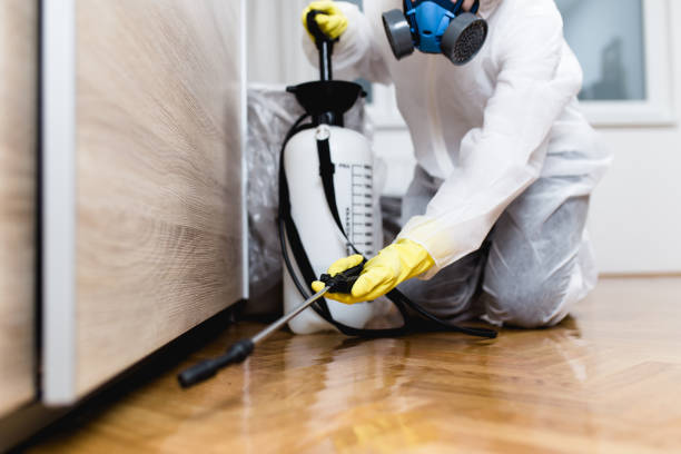 Best Pest Control Near Me in Naranja, FL