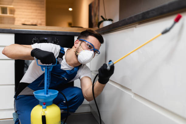 Best Affordable Pest Control Services  in Naranja, FL