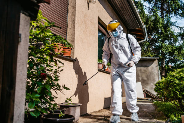 Best Cockroach Control Services  in Naranja, FL
