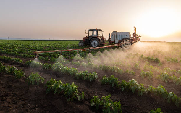 Best Mosquito Control Services  in Naranja, FL