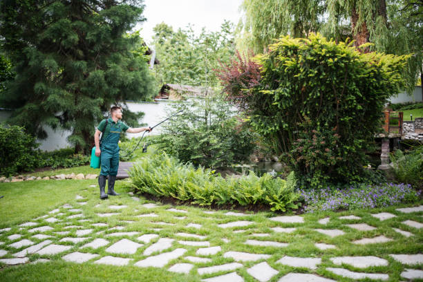 Best Pest Removal Services  in Naranja, FL