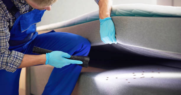 Best Residential Pest Control  in Naranja, FL