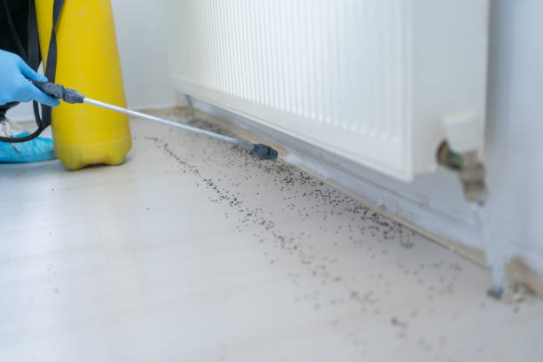 Best Pest Control for Businesses  in Naranja, FL