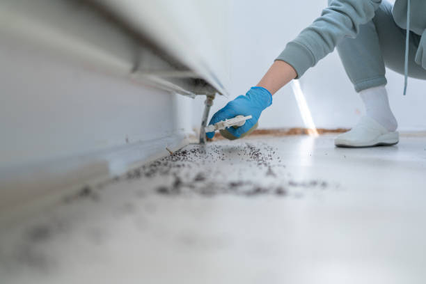 Bird Control in Naranja, FL